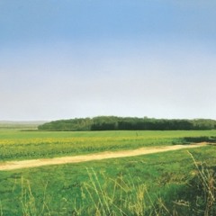 Midi Country (draft 1)