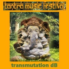 dj transmutation dB - morning psytrance dj set - Festival Tantra 2016