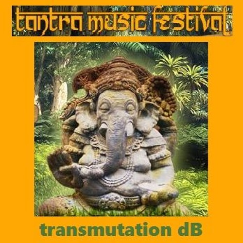 dj transmutation dB - morning psytrance dj set - Festival Tantra 2016
