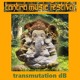 on dj transmutation dB - morning psytrance dj set - Festival Tantra 2016