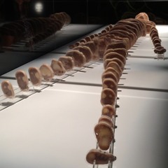 If But Complete Separation