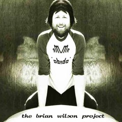 the brian wilson project ft gary danko - rise (jz dub)