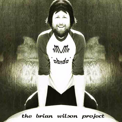 the brian wilson project ft gary danko - rise (jz dub)