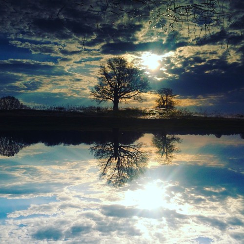 DLA Acoustic - #8 Алитаса / Alitasa (Inside The Water)