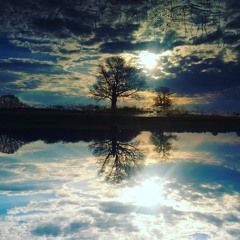 DLA Acoustic - #7 Отражения / Reflections (Inside The Water)