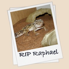 RIP Raphael