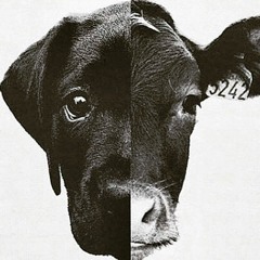 All