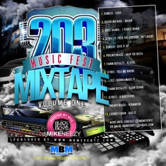 203Music Fest the mixtape