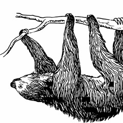 Slothdisco