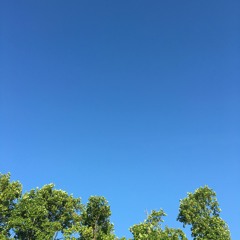 Souffle j'étais - Oboe, cello and piano trio - 2010