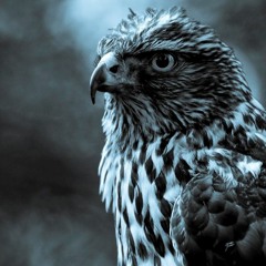 It Out x KC (Volume Raised)