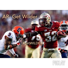 AR- Get Wilder