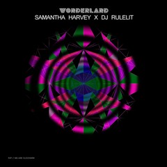Samantha Harvey- Wonderland (DJ Rulelit Remix)
