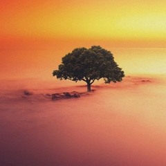 The Name Of Allaah Al - Haafidh By Abu Hakeem