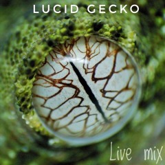 Lucid Gecko Live Mix (2016)