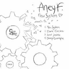 Aney F. - New System (Original Mix) - Cellaa Music (Vinyl + Digital)