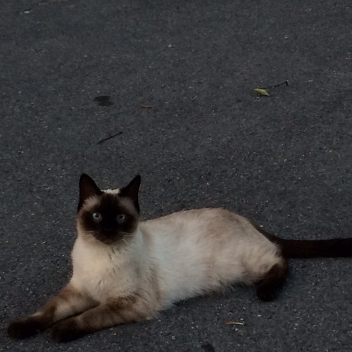 smile [wednesday morning]