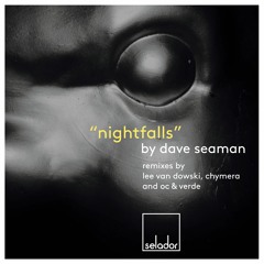 Dave Seaman - Night Falls (OC & Verde Remix) - SELADOR **PREVIEW SNIPPET**