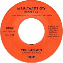 Bileo - You Can Win