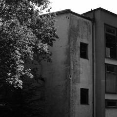 August-Buschfunk-Hypersapoid