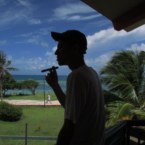 cuban cigar - leaf