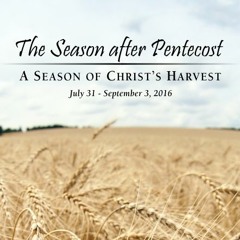 Every Knee Will Bow, Every Tongue Confess, Philippians 2.1-18, Year C 2015 - 2016