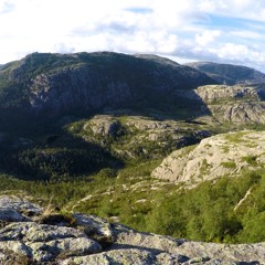 We Live In A Paper World