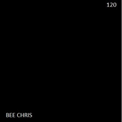 BEE CHRIS DEEP House 120