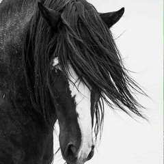 Comanche songs