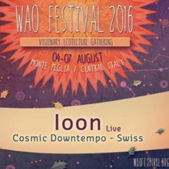 IooN- Runners high project-Live @ W.A.O. Festival 2016 [free download]