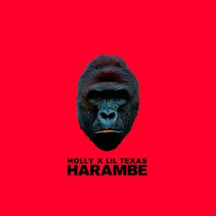Holly x LIL TEXAS - Harambe