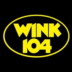 Camp Hill Challenger Baseball  Team on WINK 104