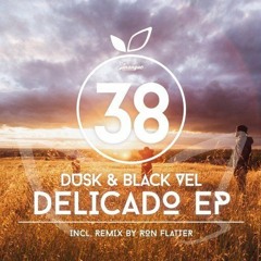 Dusk & Black Vel - Delicado (Ron Flatter Remix)