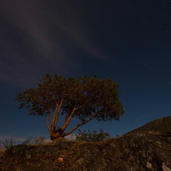 The Overlook EP (on Silent Season)