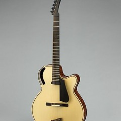 Ken Parker guitar at the Metropolitan Museum