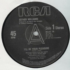 I´ll be your pleasure (Ilya Santana instrumental edit)*FREE DOWNLOAD*