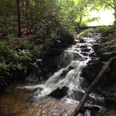 Written in the Stars