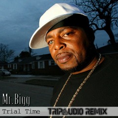 Mr. Bigg - Trial Time (TripXudio Remix)