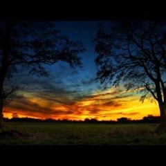 Clare Burke/Michael Arnette/Dustin Miles- Special Death (Mirah Cover)