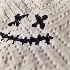 Up Root. (Prod. RoachCarter)