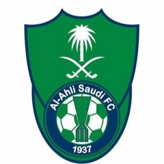 ماجد المهندس - سفير الوطن