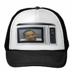 BURN IT IN THE MICROWAVE