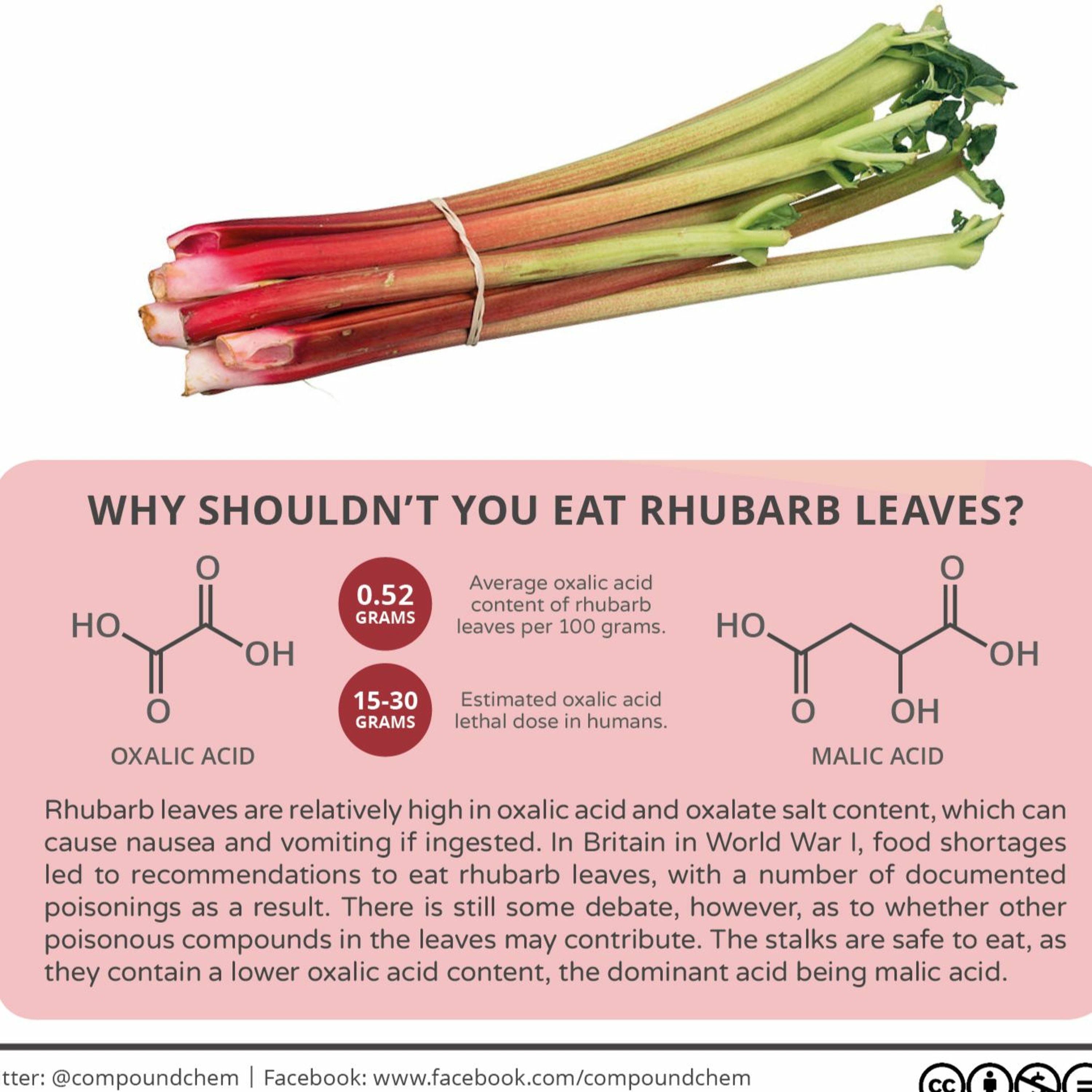 Rhubarb episode artwork