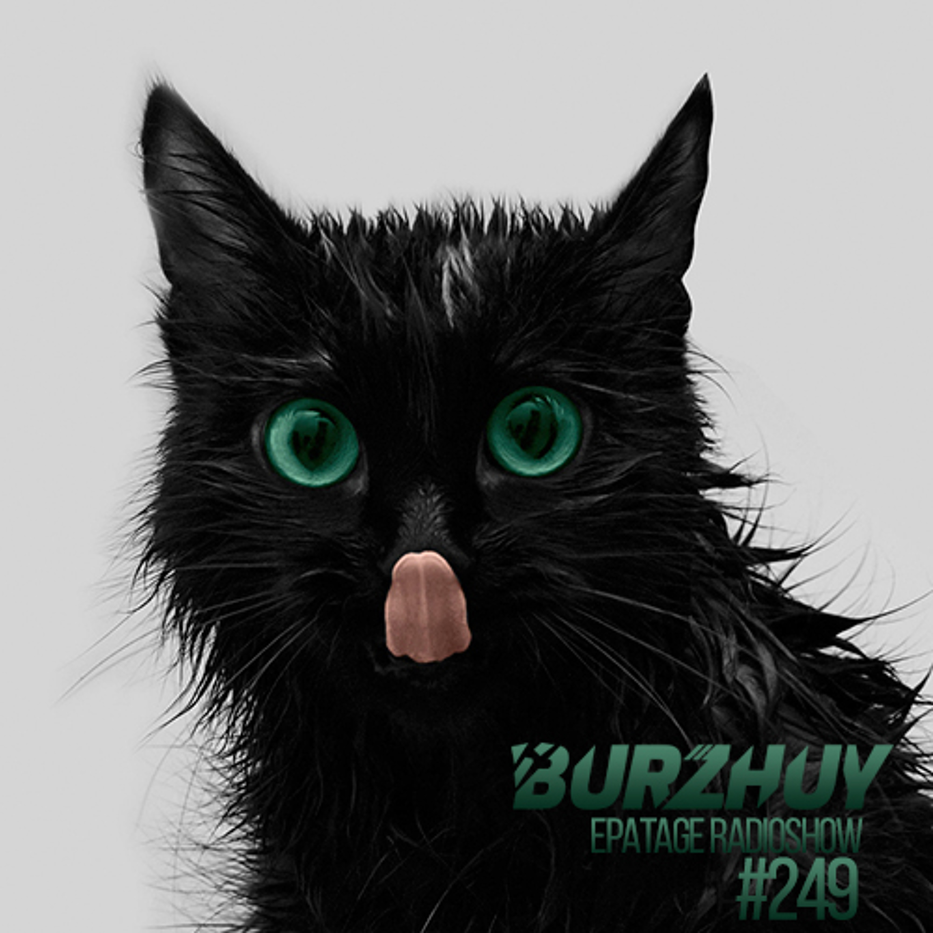 Burzhuy