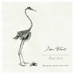 I am Frost - Escape Route (Solid Slap Remix)