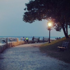 Praise Will Be My Song - Bryan & Katie Torwalt (cover)