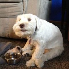 Chrispop - Cumbialalalalalong