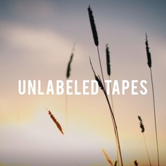 Error And Trial - Jakob Mecke feat. Insa