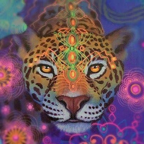 Permiso Ancestral - Kirtan Reggae (voz) - William Palchucan (Quena)