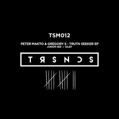 PREMIERE: Peter Makto & Gregory S - Truth Seeker (Junior Gee Remix) [Truesounds Music]